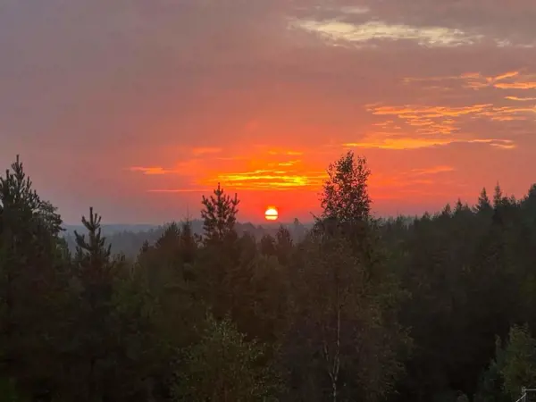 Bild 7 von 61