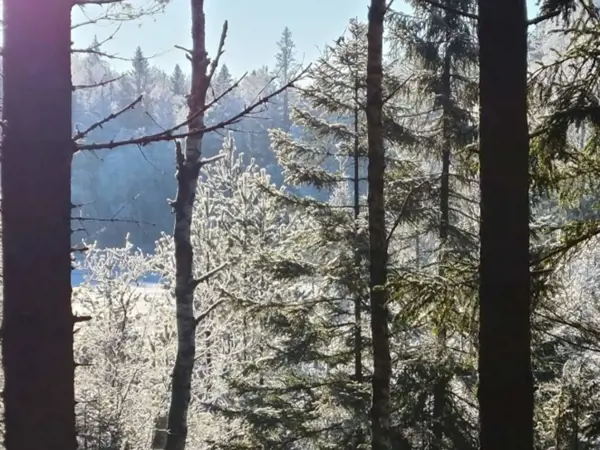 Bild 10 von 61