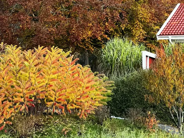 Bild 23 von 26
