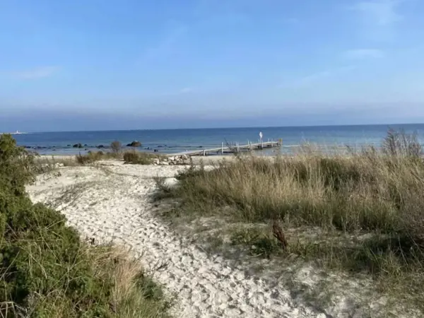Bild 25 von 31