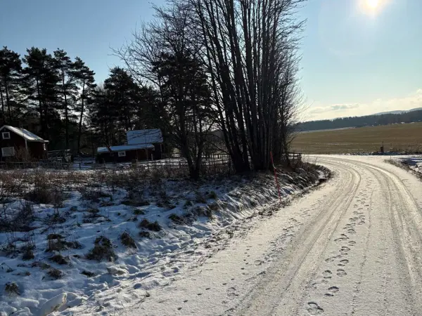 Bild 16 von 32