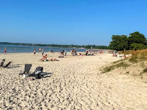 Bild 15 von 15