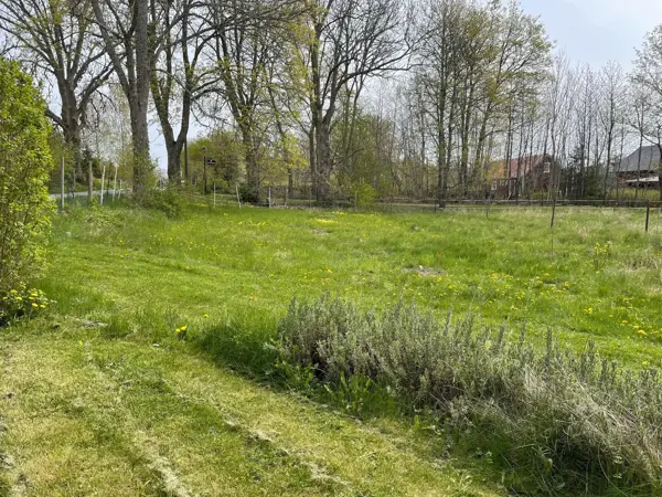 Bild 24 von 24