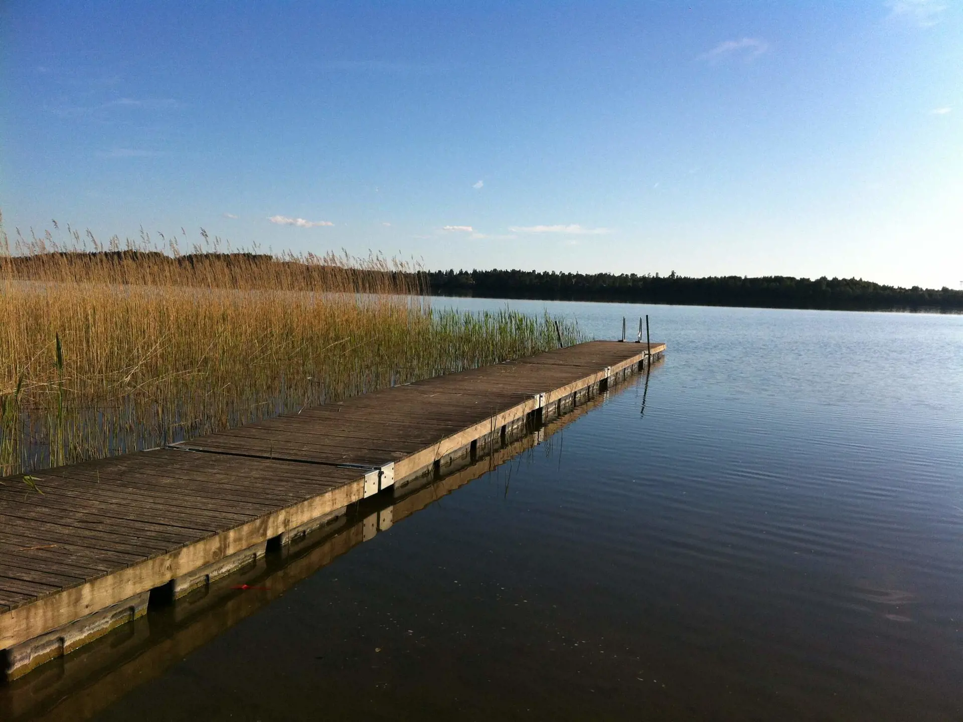 Bild 16 von 36