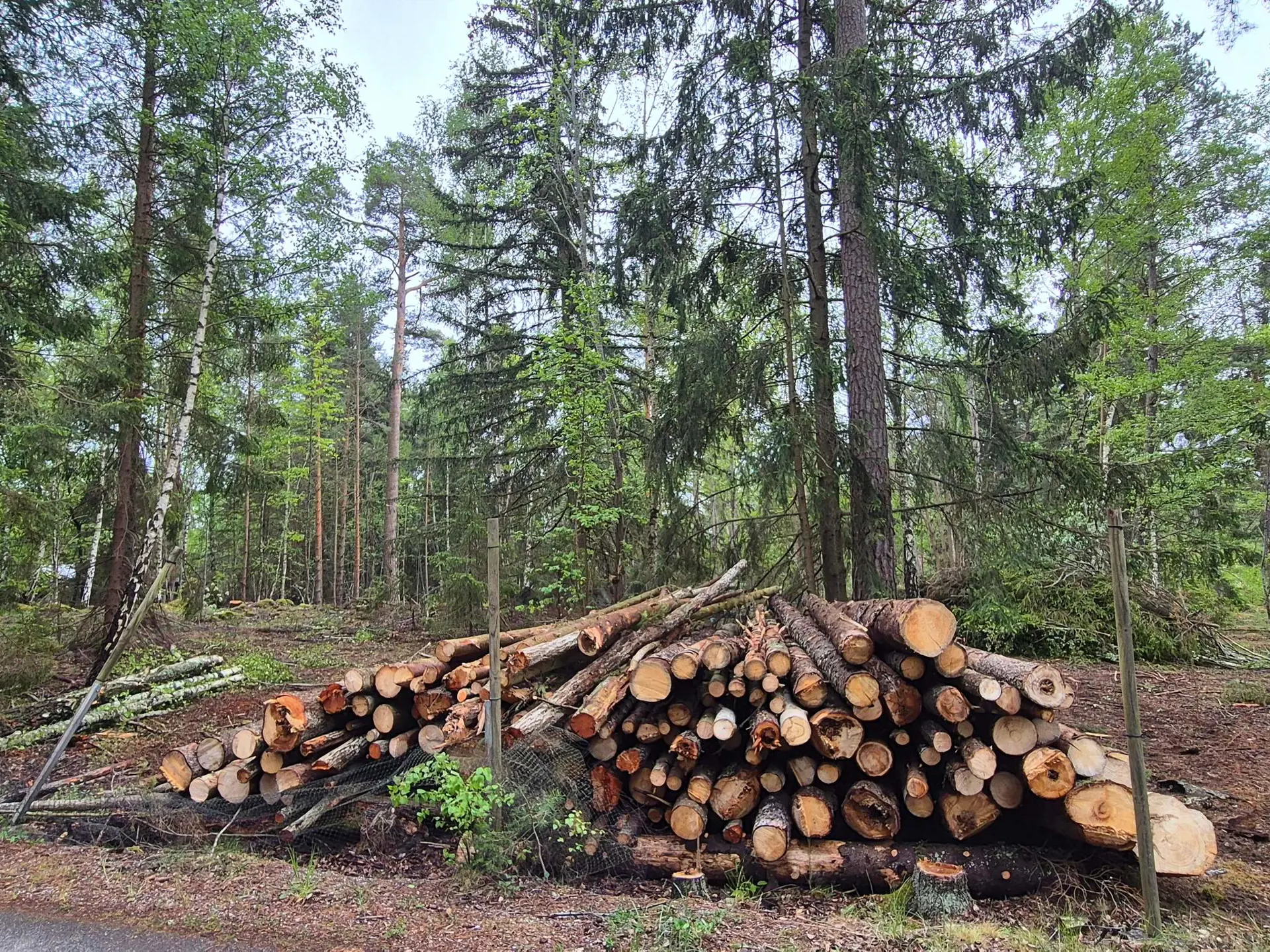 Bild 32 von 36