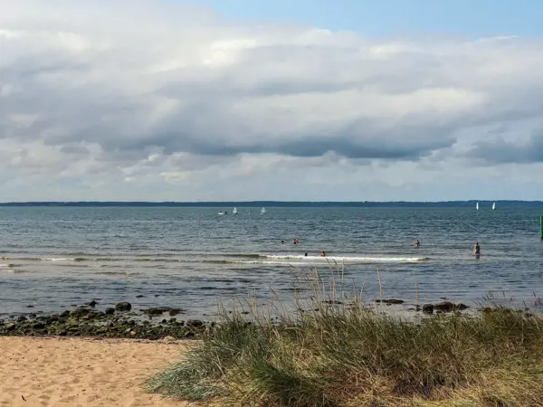 Bild 36 von 37