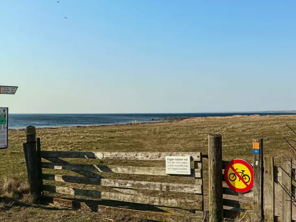 Bild 37 von 37