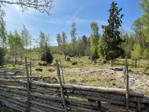 Bild 33 von 35
