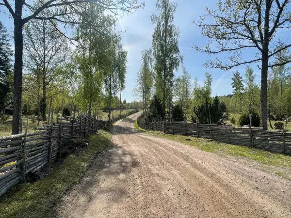Bild 35 von 35