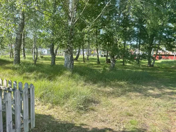 Bild 8 von 28