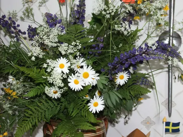 Bild 18 von 24