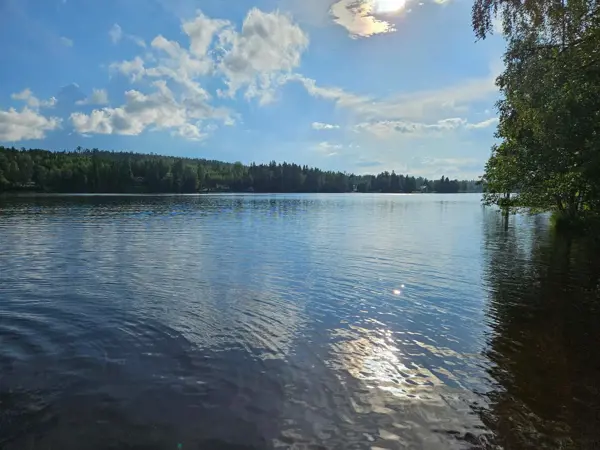 Bild 15 von 29