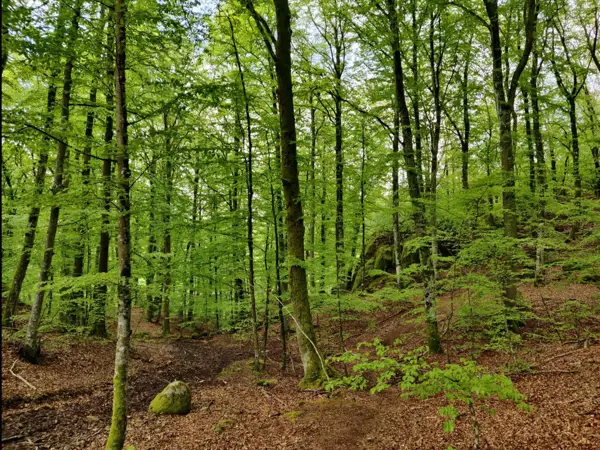 Bild 21 von 35
