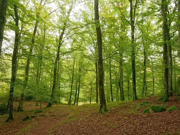 Bild 23 von 35