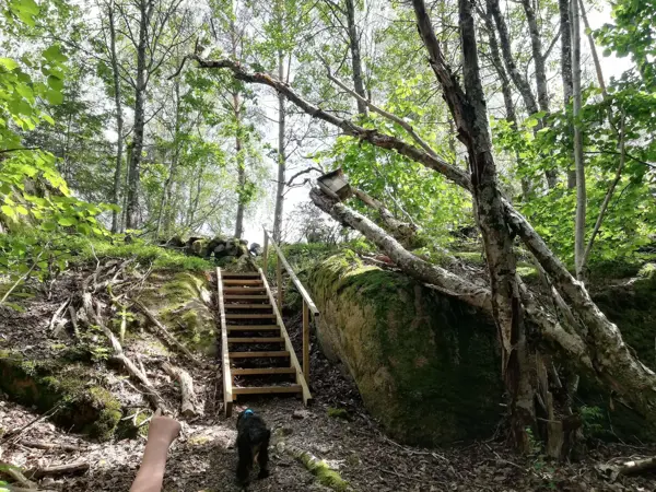 Bild 30 von 35