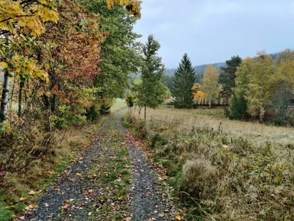 Bild 15 von 35