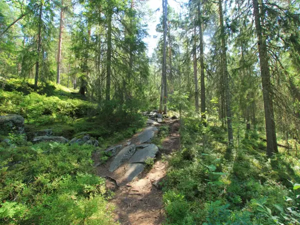 Bild 27 von 35