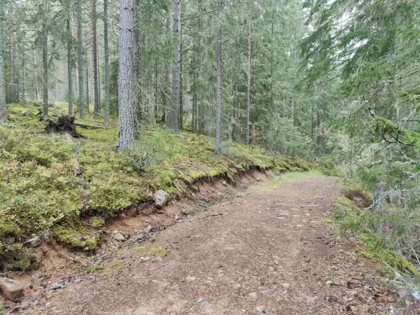 Bild 31 von 35