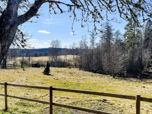 Bild 35 von 35