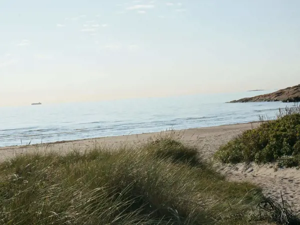 Bild 44 von 44