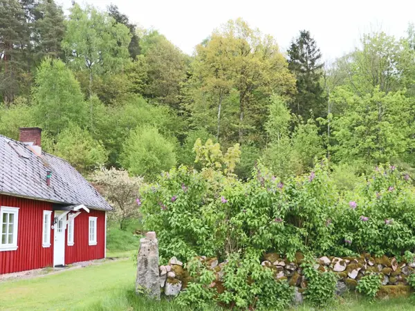 Bild 4 von 31