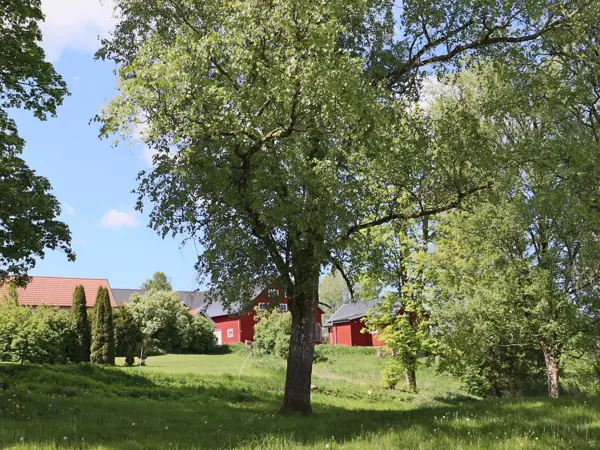 Bild 11 von 29
