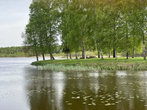 Bild 29 von 34
