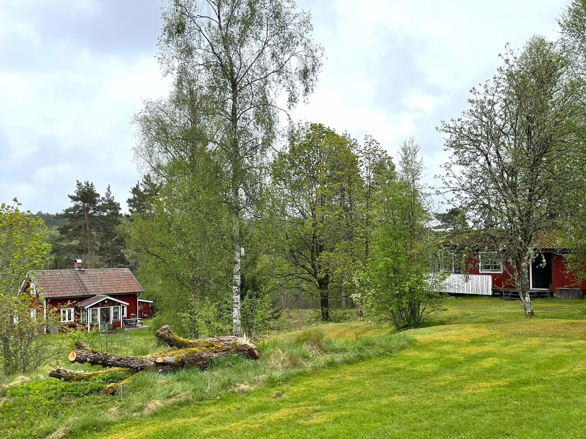 Bild 2 von 54