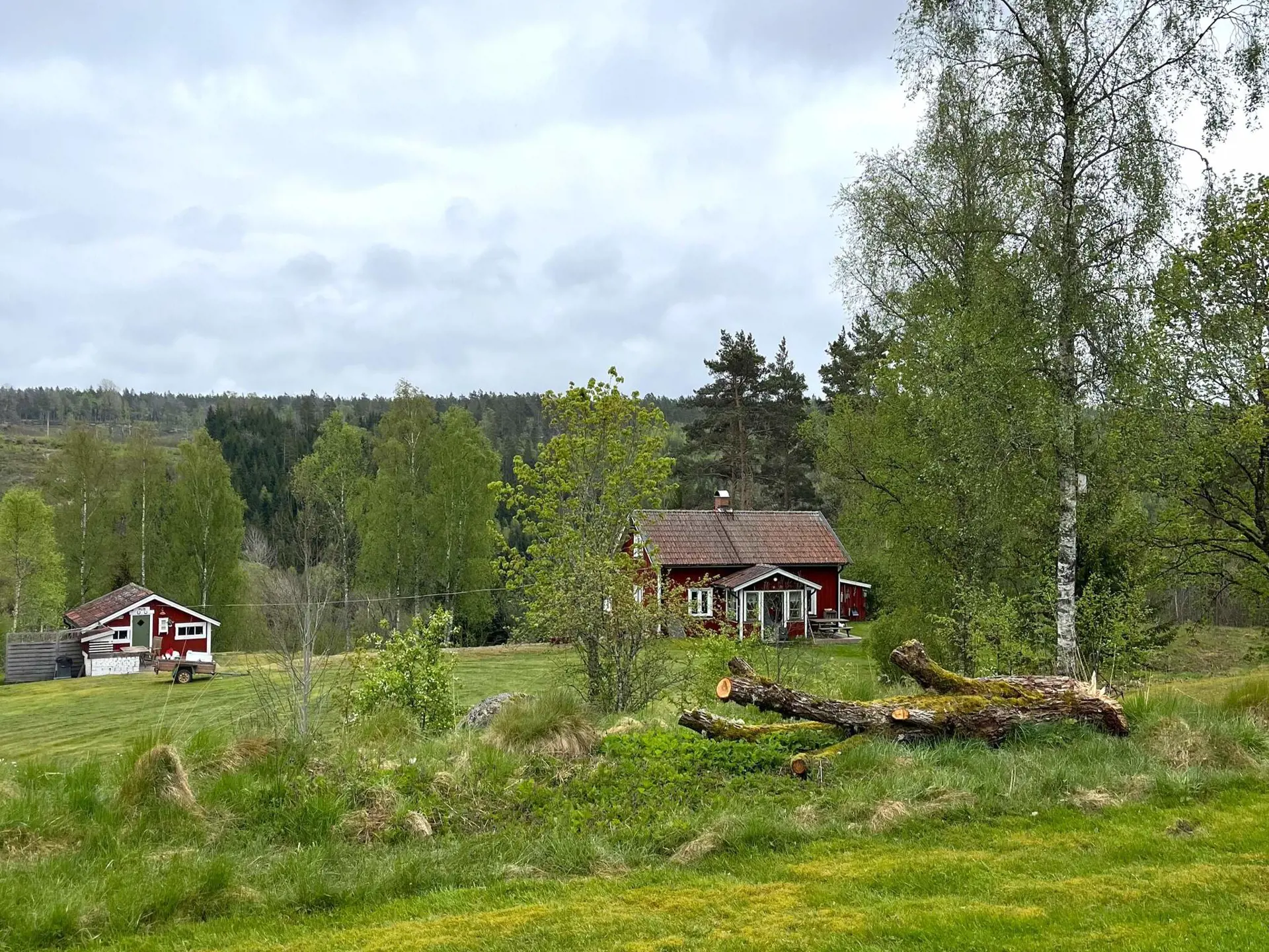 Bild 11 von 54