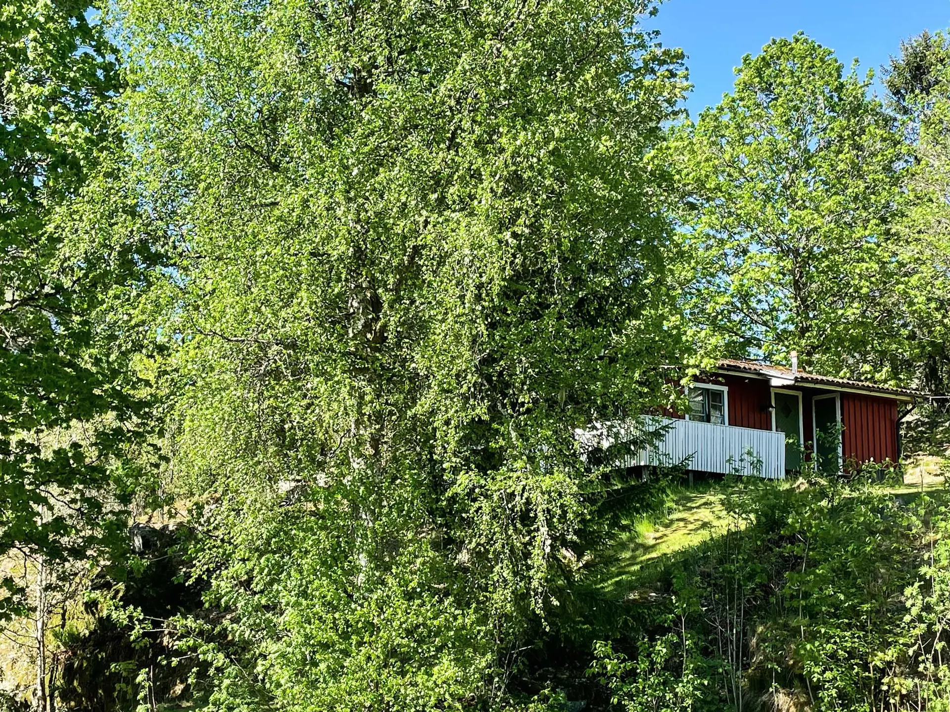 Bild 14 von 54