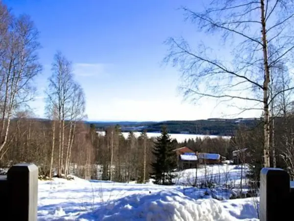 Bild 11 von 24