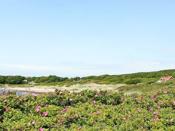 Bild 26 von 28