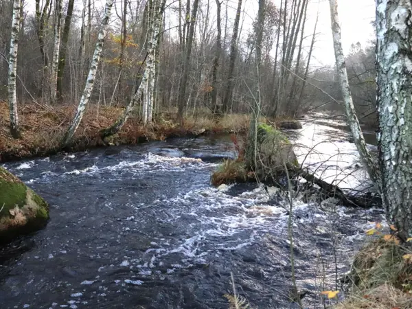 Bild 30 von 32