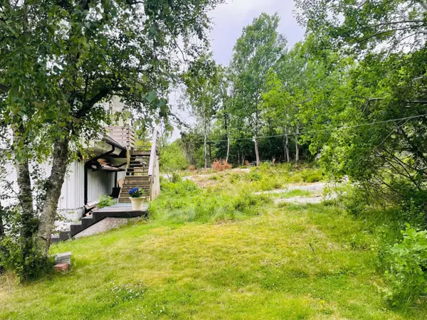 Bild 2 von 25