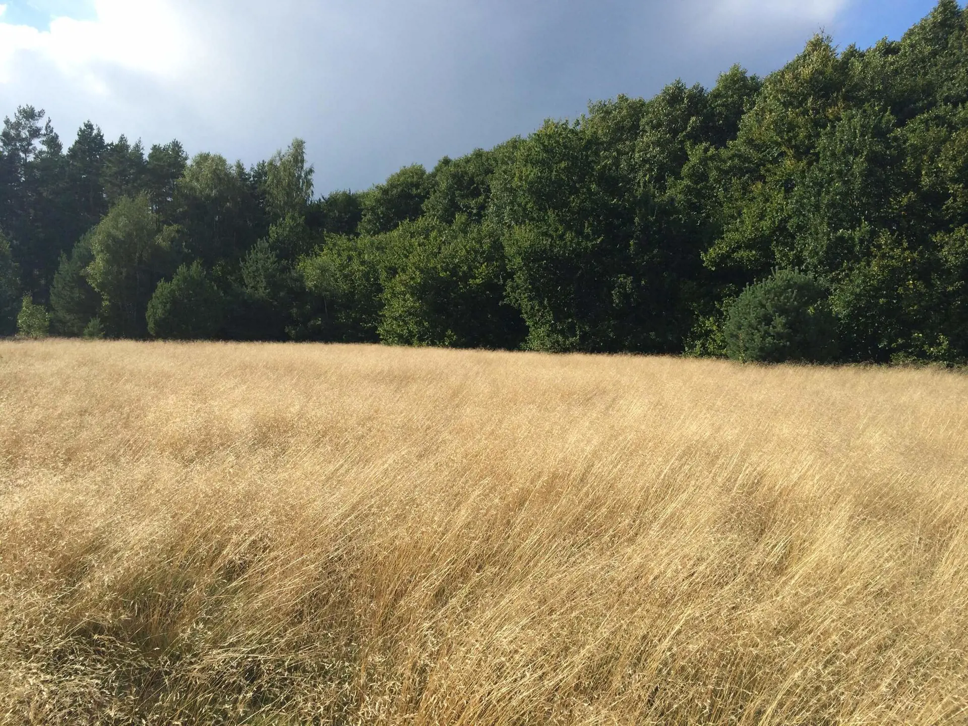 Bild 13 von 31
