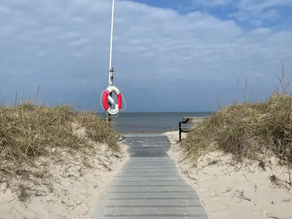 Bild 28 von 31