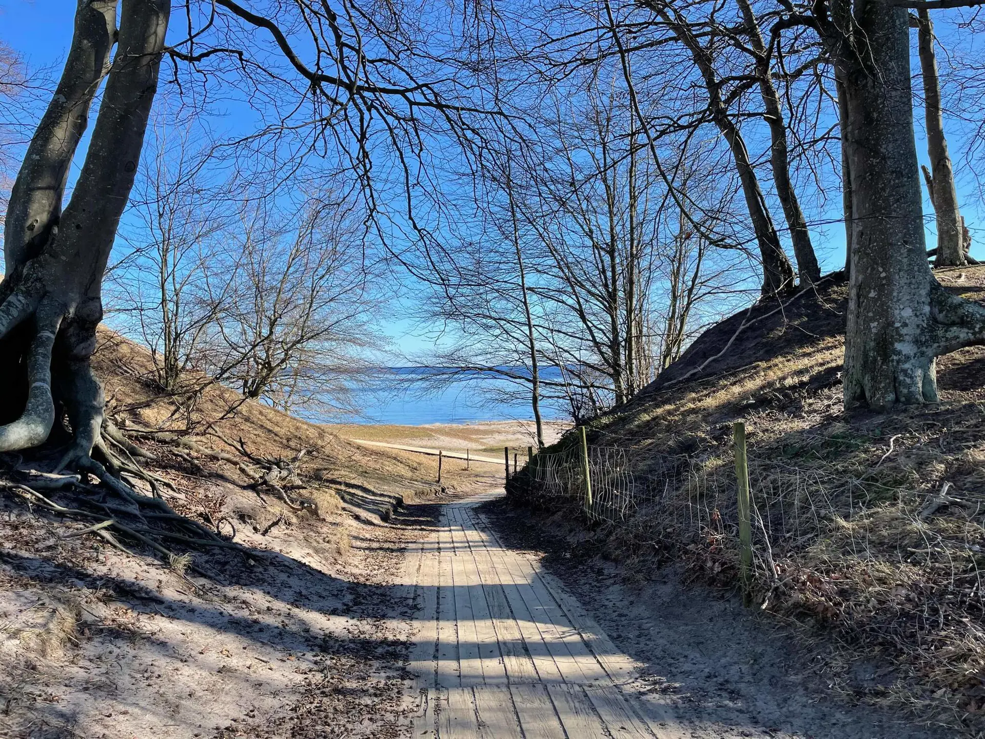 Bild 31 von 31