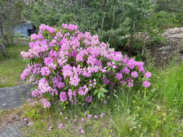 Bild 12 von 25