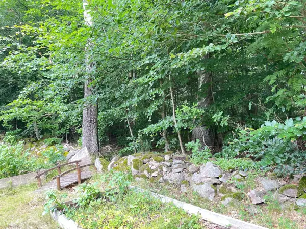 Bild 11 von 31