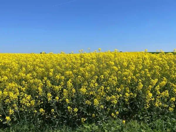 Bild 25 von 31