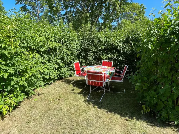 Bild 12 von 41