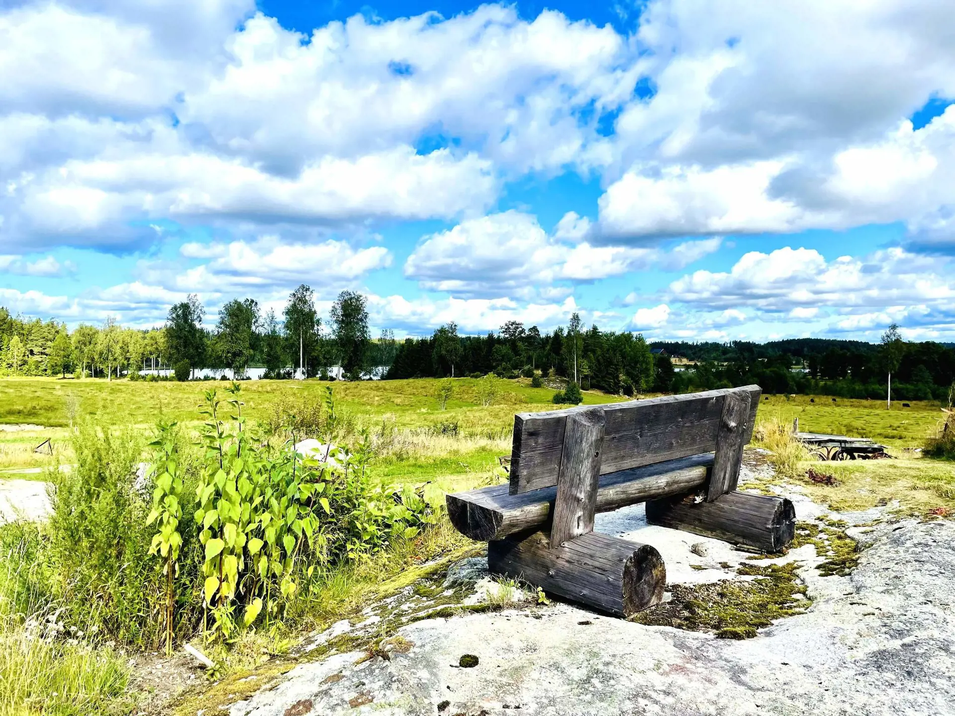 Bild 4 von 32