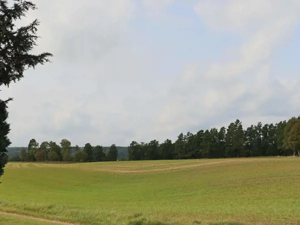Bild 11 von 24