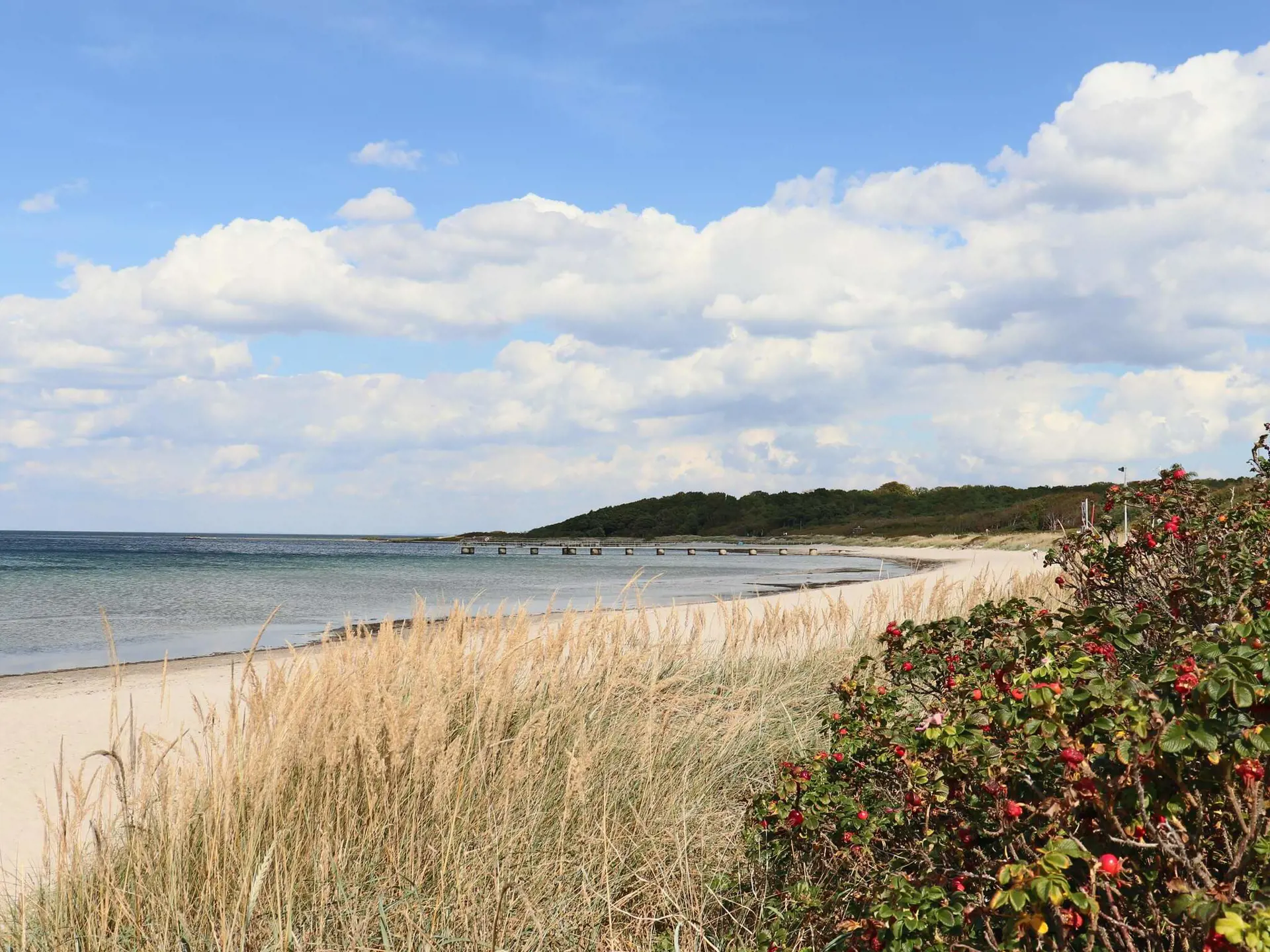 Bild 38 von 39