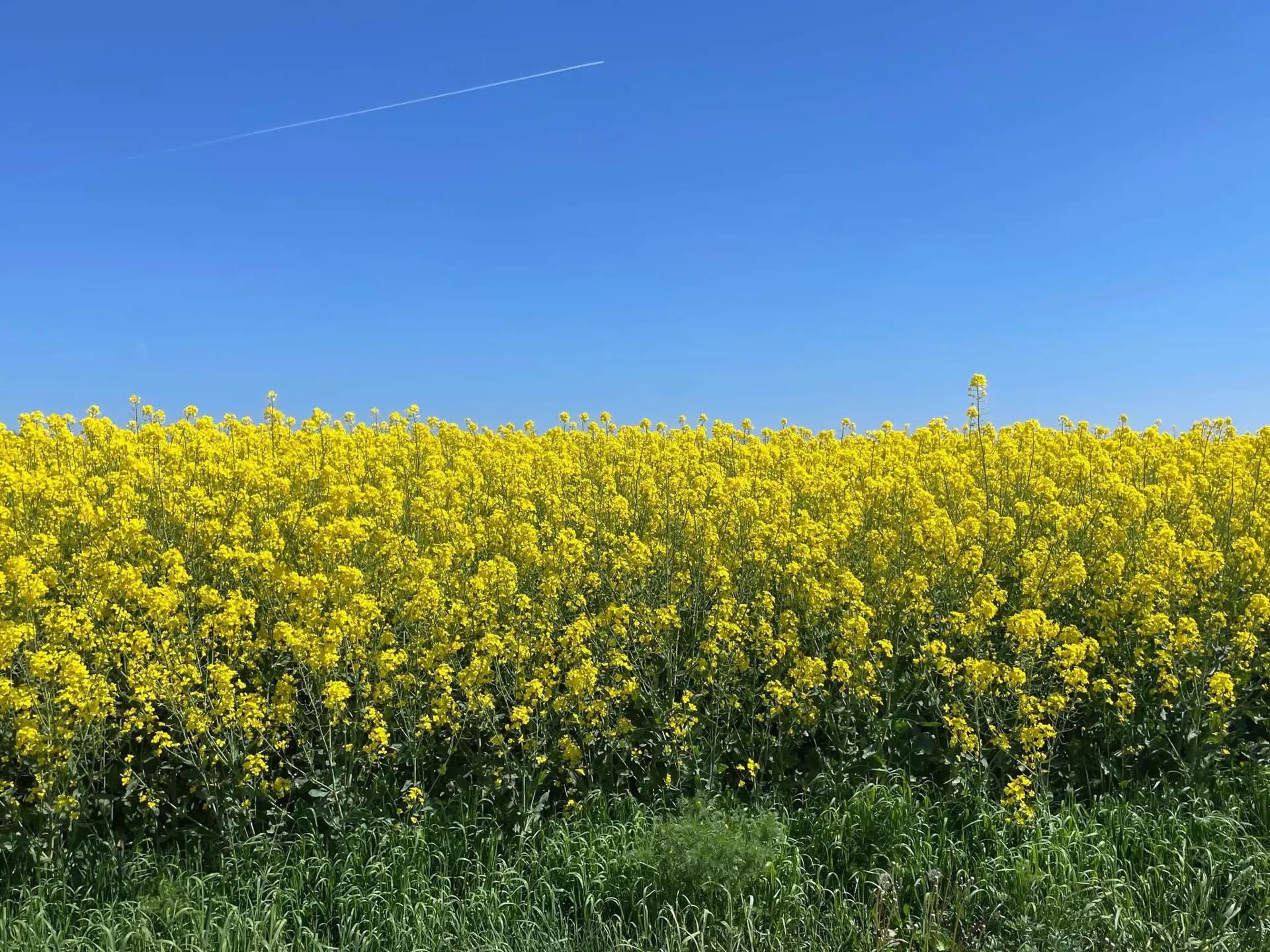 Bild 23 von 25