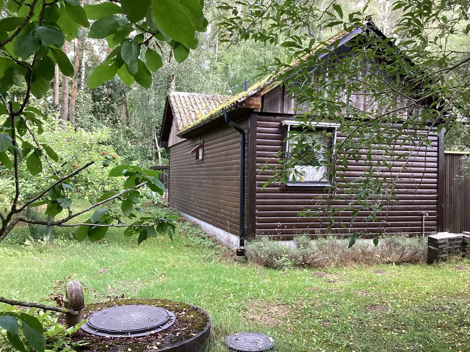 Ferienhaus 63713 in Tomelilla / Skåne