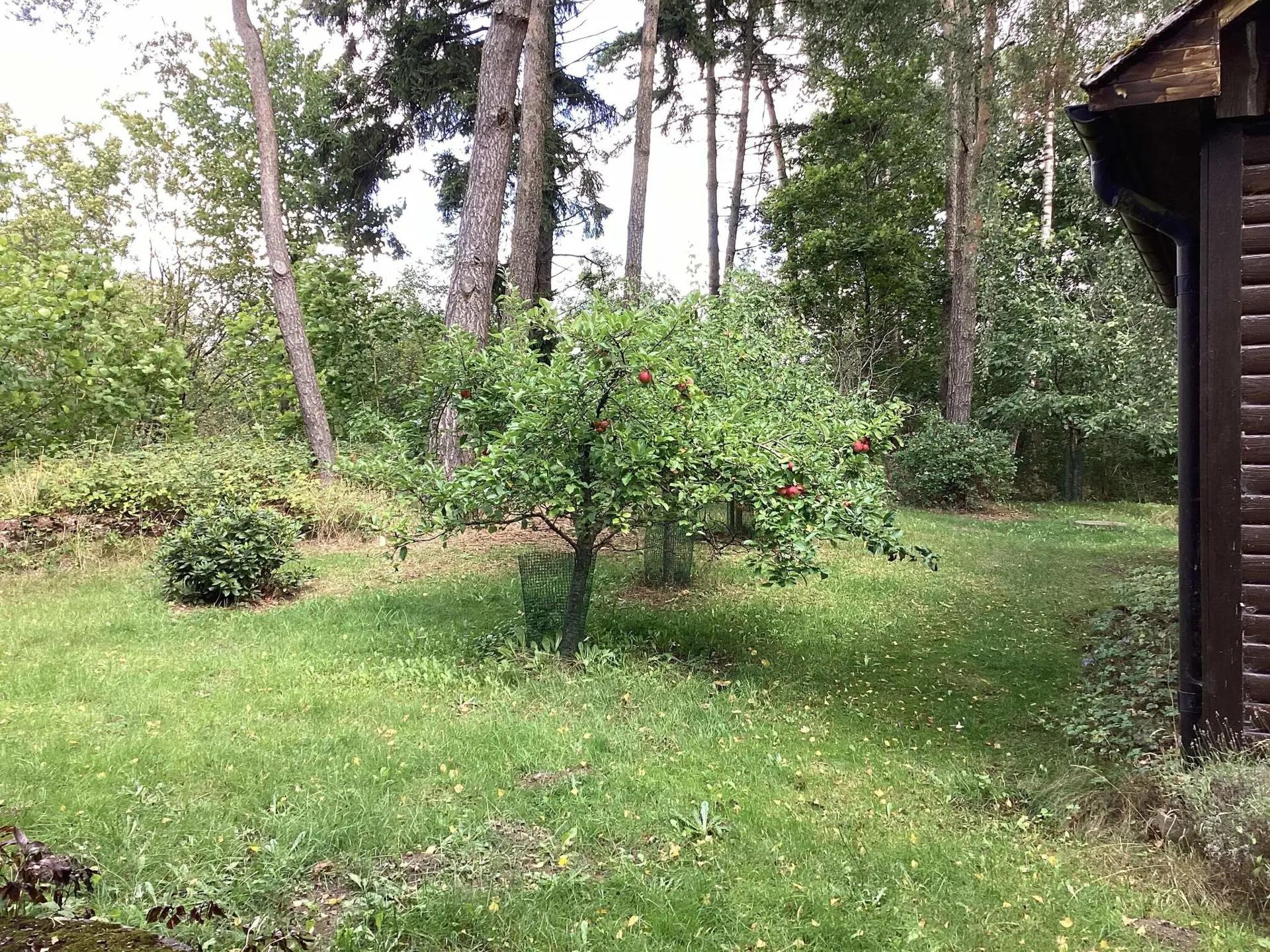 Bild 2 von 11