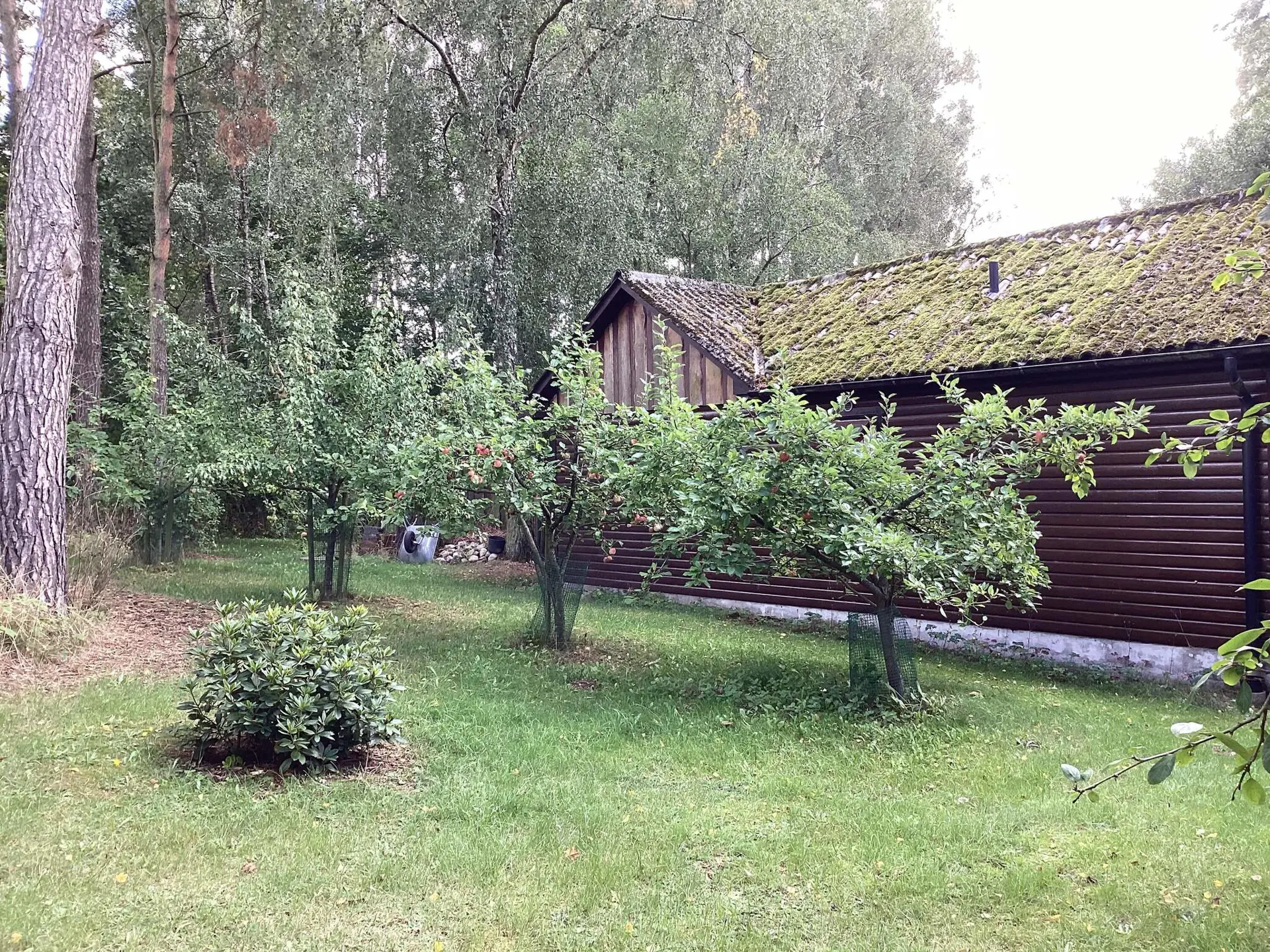 Bild 3 von 11