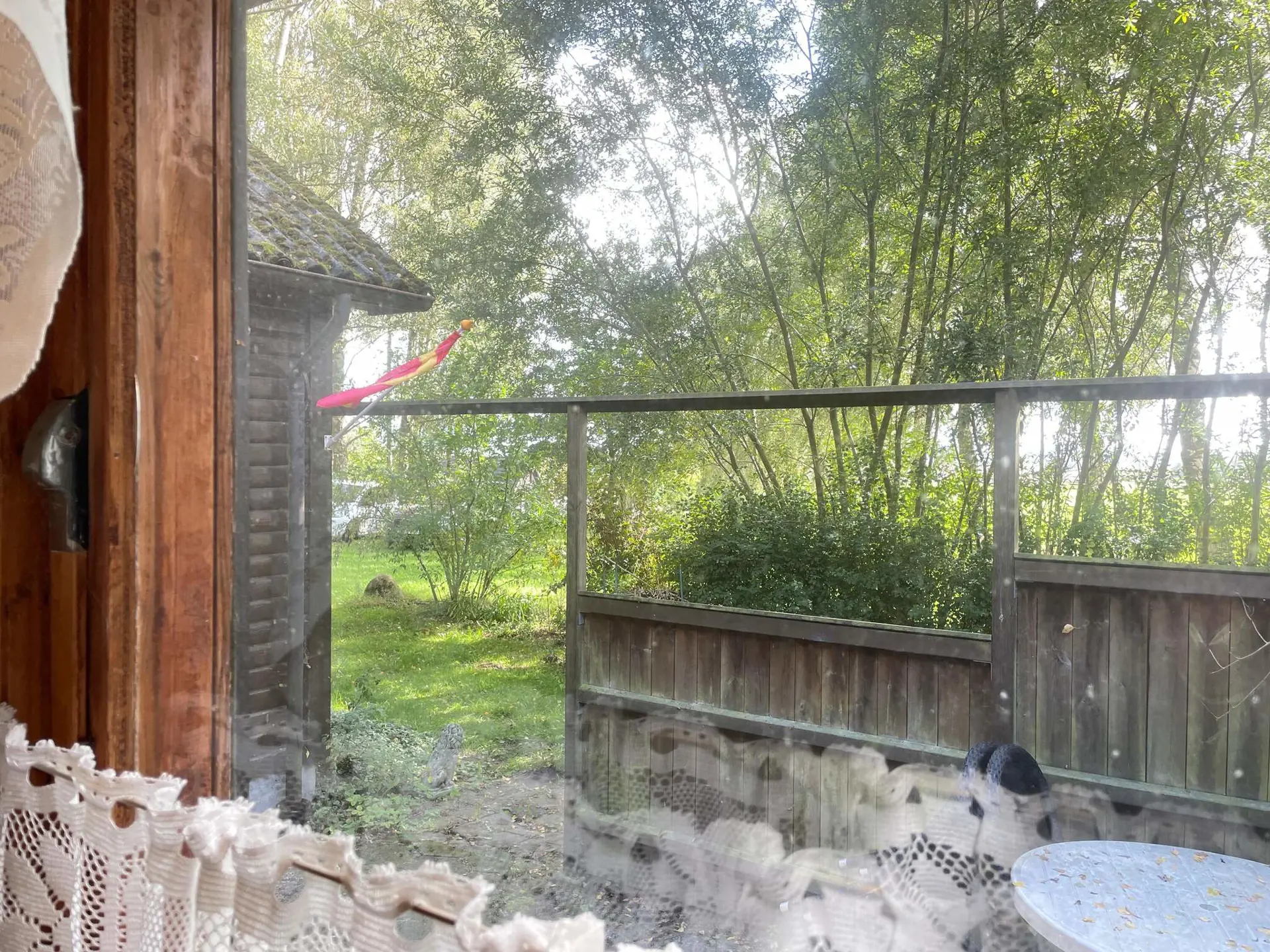 Bild 10 von 11