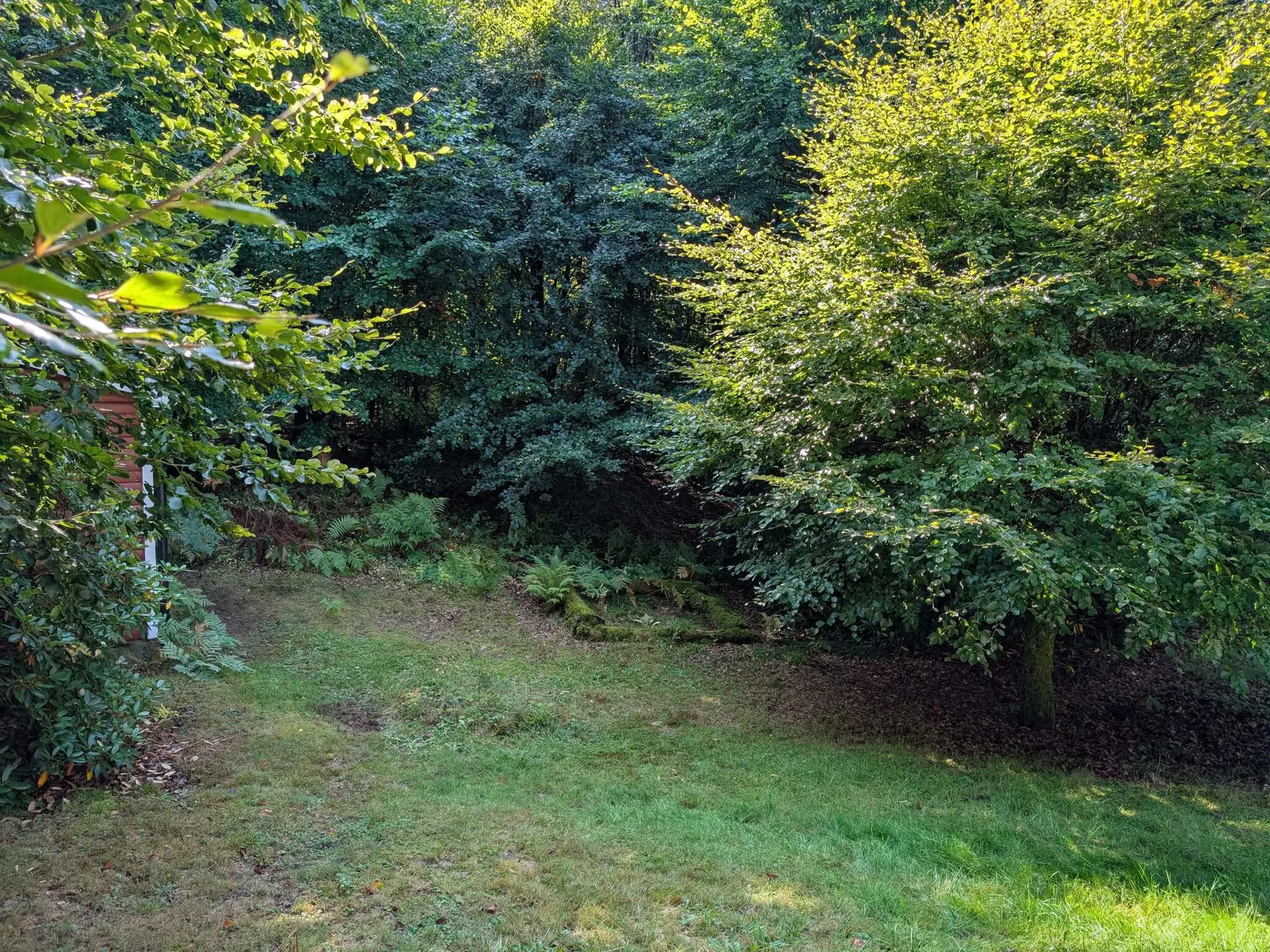 Bild 12 von 34